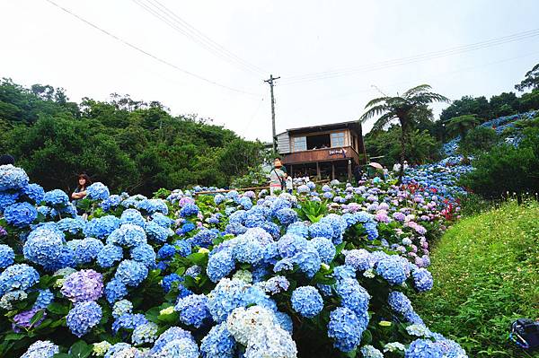 DSC00791_副本.jpg DSC00791_副本.jpg