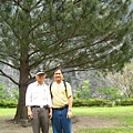 布洛灣