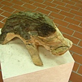 展示中心