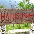 馬路鼠