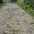 草山產業道路