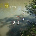 P1140295.JPG