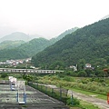 P1360377.JPG