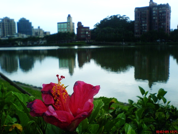 碧湖公園