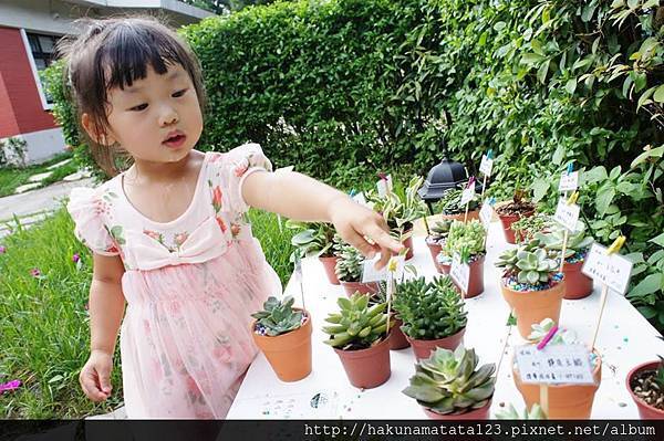 10984029_839930009389479_5718377065120745201_n.jpg 10984029_839930009389479_5718377065120745201_n.jpg