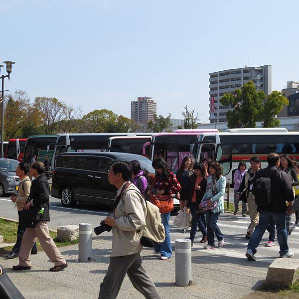 照片1 300 照片1 300