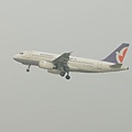 NX A319