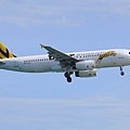 TIGER A320