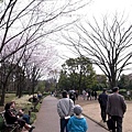 北の丸公園04