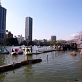 上野公園-不忍池05