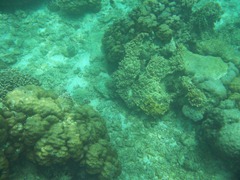 100_0357 100_0357