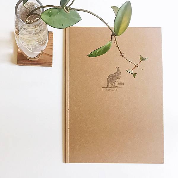 IMG_0100.JPG IMG_0100.JPG