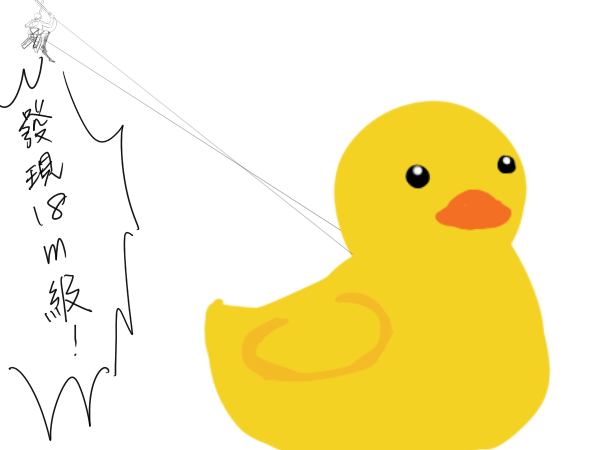 duck