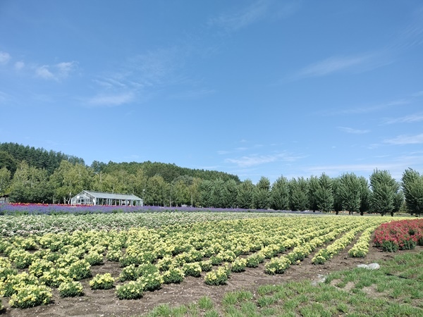 [日記] 北海道初體驗