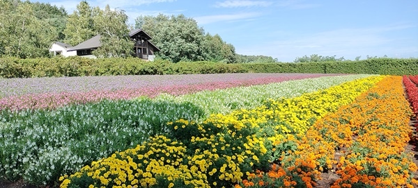 [日記] 北海道初體驗