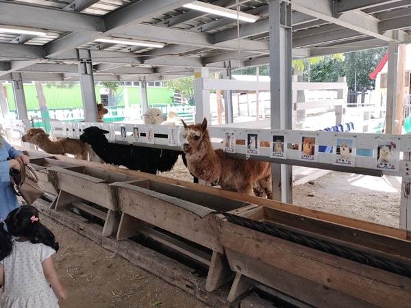 [日記] 北海道初體驗