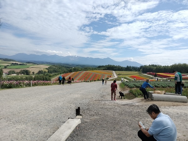 [日記] 北海道初體驗