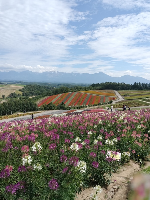 [日記] 北海道初體驗