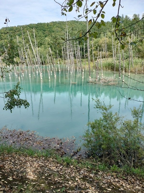 [日記] 北海道初體驗