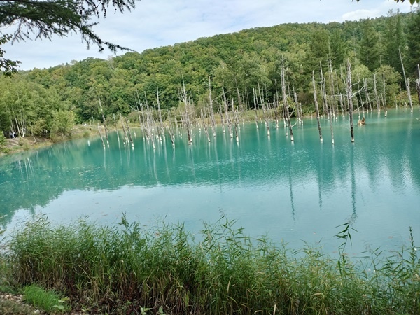 [日記] 北海道初體驗