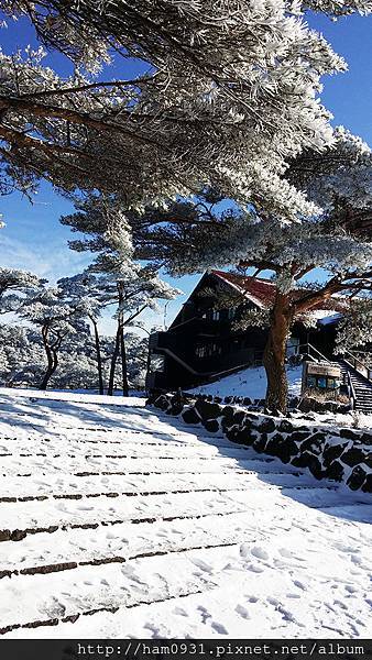 蝦野高原銀色雪白世界