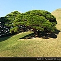 熊本水前寺成趣園