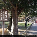 熊本水前寺成趣園