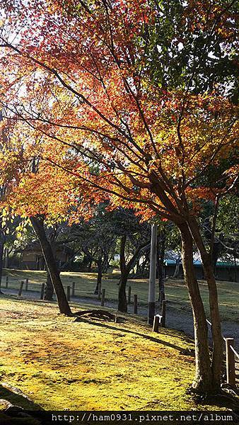 熊本水前寺成趣園