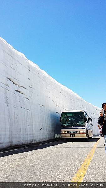 黑部立山~室堂雪之大谷高原巴士