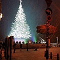 金森倉庫閃耀的聖誕樹