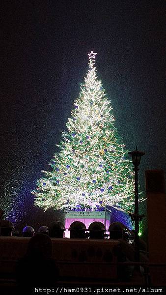 金森倉庫閃耀的聖誕樹