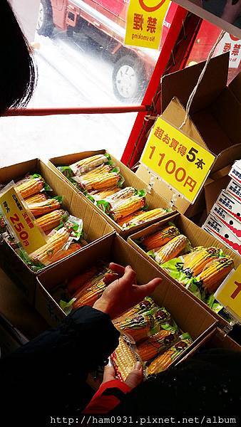 函館朝市超甜玉米