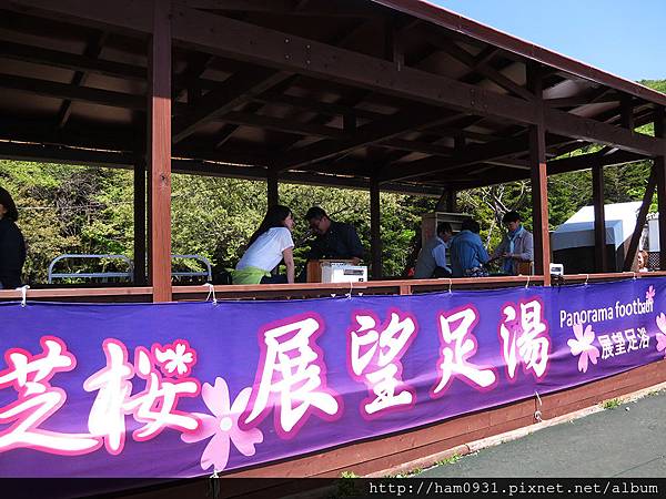 芝櫻展望足湯