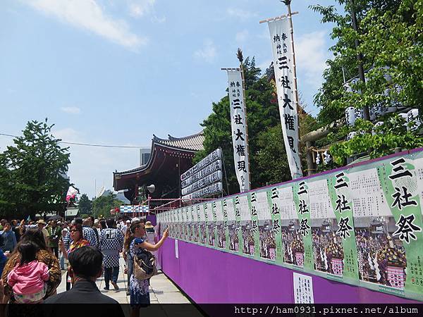 淺草觀音寺三社祭