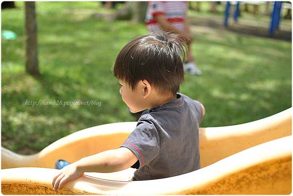 DSC_0096 DSC_0096