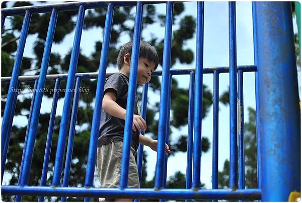 DSC_0100 DSC_0100