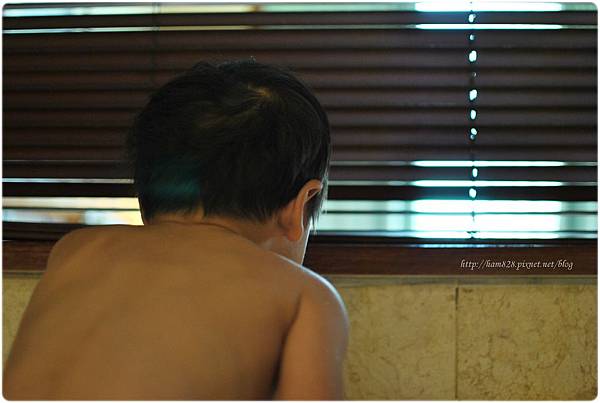 DSC_1186 DSC_1186