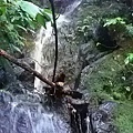 10403069_894880923864796_944385734705699371_n.jpg