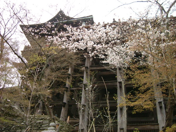 清水寺．走下樓俯看石柱