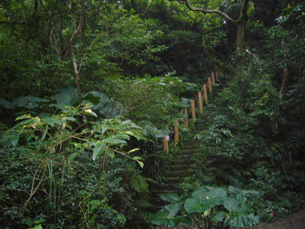 富陽自然生態公園 