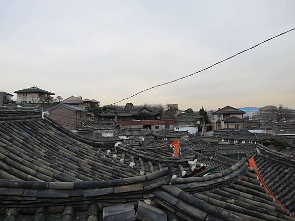 IMG_1032 IMG_1032