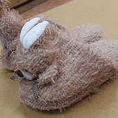 20151203_124206.jpg