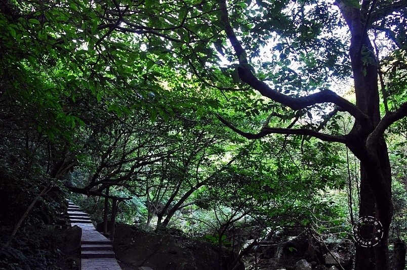 大溝溪親水步道