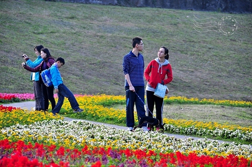 大溝溪親水步道彩虹花海