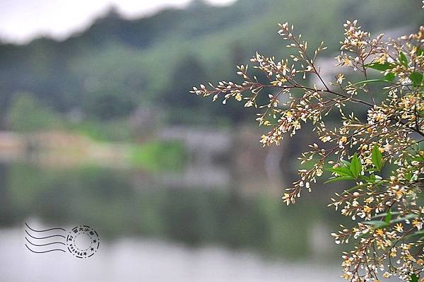 西湖渡假村