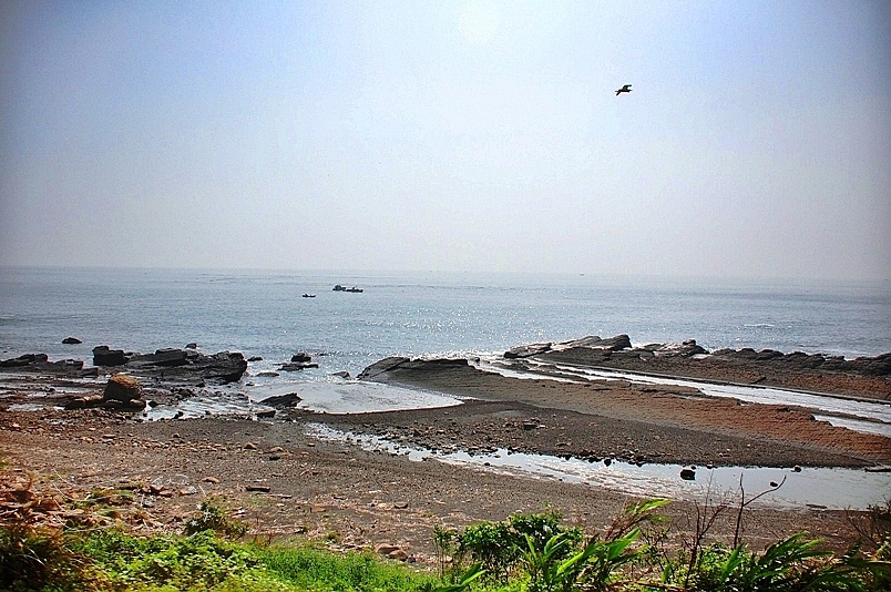 東部海岸