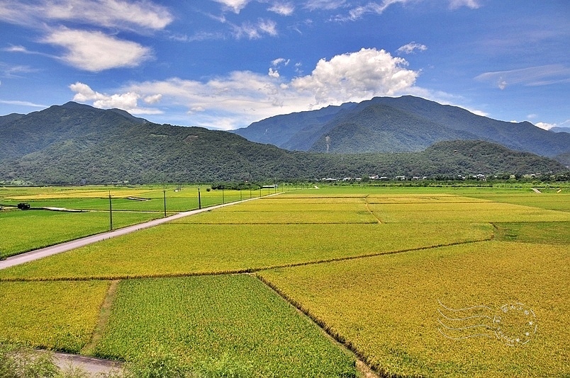 花東縱谷風光