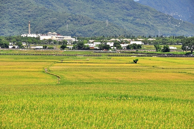 池上伯朗大道