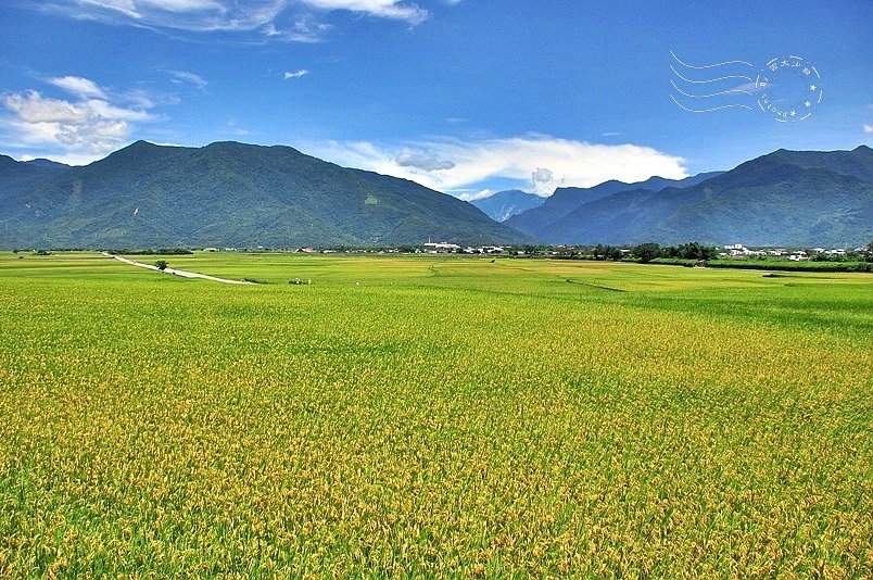 池上伯朗大道