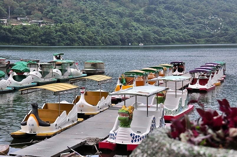 花蓮鯉魚潭